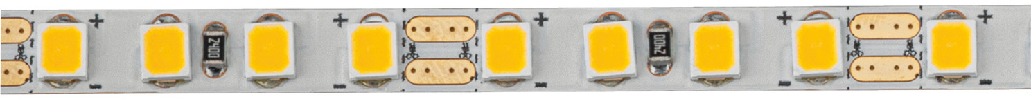 ppic-04835385